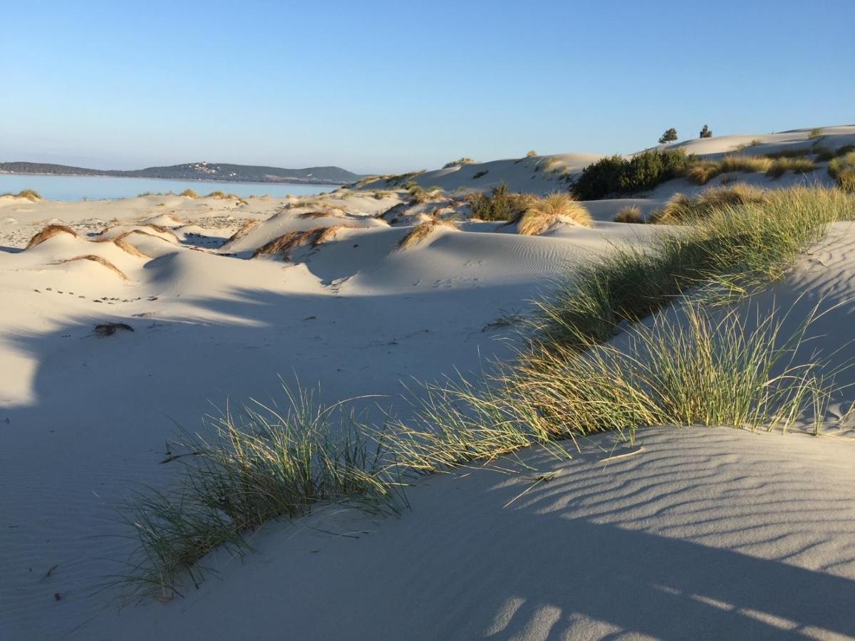 Villa Aquamarina Pavoncella Rossa Porto Pino Bagian luar foto